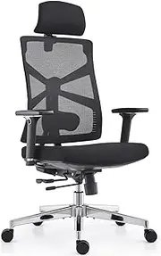HOLLUDLE Ergonomic Office Chair with Adaptive Backrest, High Back Computer Desk Chair with 4D Armrests, Adjustable Seat Depth, Lumbar Support and 2D Headrest, Swivel Task Chair, Black