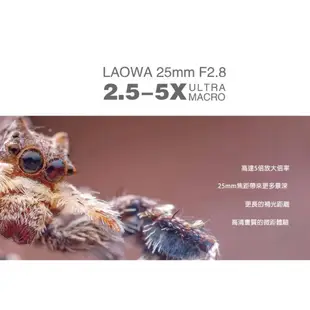 【中壢NOVA-水世界】LAOWA 老蛙 25mm F2.8 Ultra Macro 2.5-5X 超級微距鏡頭 公司貨