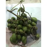 在飛比找蝦皮購物優惠-莎梨 沙梨 沙梨橄欖 無農藥沙梨橄欖 （半斤60元）