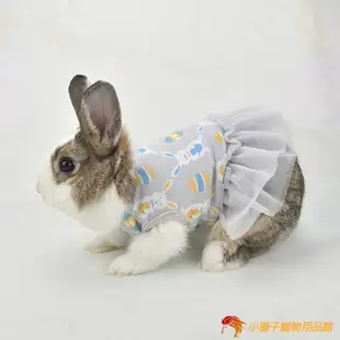 兔兔裙子荷蘭豬兔子衣服茶杯犬吉娃娃小型犬寵物衣【小獅子】