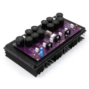 Assembled Mono 60W Class A Power Amplifier Board Base On Pass Labs Aleph A5 Amp