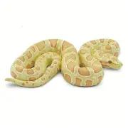 Albino Burmese Python Figurine - Lifelike 5.5" Snake Figure - Educational Toy