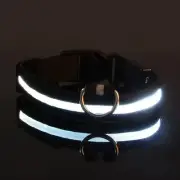 LED Night Safety Glow In Dark Dog Collar, XL