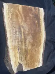 Spalted Alder 1-piece guitar body blank #3