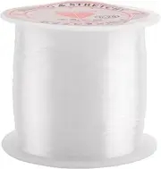 Aswalling 0.2mm Diameter Clear Nylon Fish Fishing Line Spool Beading String