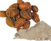 Harda Haritaki Terminalia Chebula Myrobalan,Chebulic Myrobalan Harde -Powder-F/S