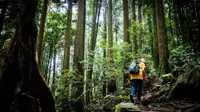 在飛比找KKday優惠-苗栗 | 中階健行 | 加里山登山一日遊