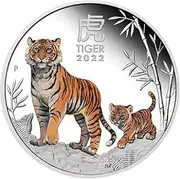 Chinese Tiger Coin,Metal Tiger Commemorative Coin | Double Side Printed, Collector's Supplies, Portable Decorative Medallion Coin, Solid Coin Crafts
