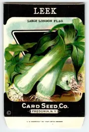 London Flag Leek 1920's Card Seed Co Packet EMPTY Vintage Fredonia New York NY