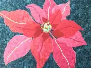 Poinsettia Applique Quilt Pattern by OCarol