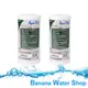 【Banana Water Shop】 2入優惠裝+免運到府+零利率 全戶水塔過濾替換濾心3M AP817/AP-817|SS801/SS-801/AP801