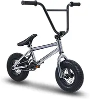 SULLIVAN Mini BMX, Premium Quality, For All Riders Age 8 Years and Up, Lightweight, Perfect for Tricks, 10 inch BMX Wheels, Sealed Bearings, Micro Gearing, Top Load Stem, Includes Brakes