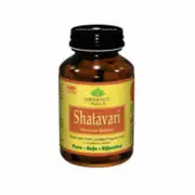 Shatavari 90 Vcaps By Organic India