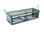 Humane Rat Trap Cage Double Door Catching Mice Traps Mouse Bait Control Box