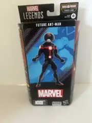 Marvel Legends Future Ant-Man "Cassie Lang" Ant-Man & the Wasp Quantumania Wave