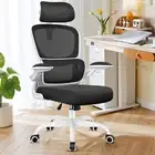 Razzor Ergonomic Office Chair, High Back Mesh Desk Chair with Lumbar Support ...