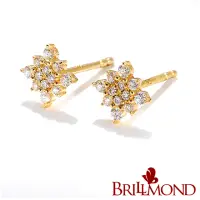 在飛比找momo購物網優惠-【BRILLMOND JEWELRY】輕珠寶 鑽石耳環 10