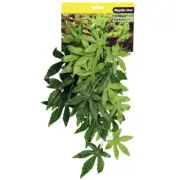 Reptile One Hanging Sativia Green 40cm