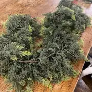 Faux Cedar Garland Hobby Lobby 6 Foot Viral Tik Tok Christmas Holiday NWT