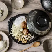 Japanese Earthen Pots for Cooking Ceramic Casserole Practical