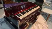 2-Reed Concert Harmonium, 3.5 Octaves, A440, 42 Keys, 9 Stoppers, Portable