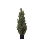 Glamorous Fusion Cypress Pine 120cm Artificial Faux Plant Tree Decorative In Pot