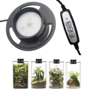 Dimmable USB Terrarium Plant Growing Lamp with Timer for Vases,Indoor Plant Grow
