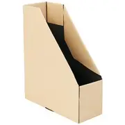 J.Burrows Collapsible Magazine File Apricot