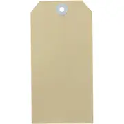 Avery 17000 Shipping Tag Size 7 146x73mm Buff Box 1000