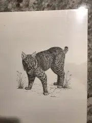 Bob CatArt,Drawing,Print by Keith Carlson