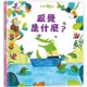 感覺是什麼？【英國Usborne科普翻翻書系列】