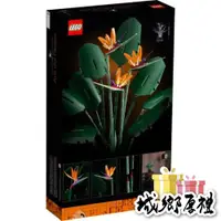 在飛比找iOPEN Mall優惠-LEGO 10289 天堂鳥