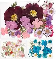 104pcs Pressed Dried Flowers Set Real Natural Pressing Floral Leaves DIY Multipurpose Real Pressed Flowers for Scrapbooking DIY Art Crafts Epoxy Resin Jewelry Molds for Scrapbooking Supplies