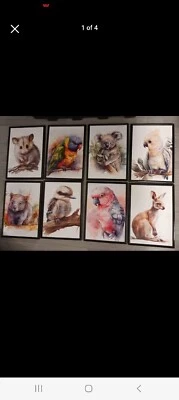 Baby Animal Prints Perfect For Nursery Australian Pictures Wall Decor A4 Koala