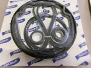 PROTECH VITON GO-KIT GO-KIT32V PUMP SEAL KIT