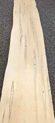 Maple Spalted Ambrosia Wormy Figured wood veneer 10" x 50" no back 1/42" thick