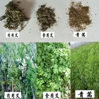 在飛比找Yahoo!奇摩拍賣優惠-現貨 快速發貨 特價艾草種籽 食用 藥用野生艾草艾蒿種子藥材