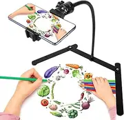 KAVAVO Adjustable Gooseneck Cellphone Holder,Overhead Phone Mount,Table Top Teaching Online Stand for Live Streaming and Online Video and Food Crafting Demo Drawing Sketching Recording.