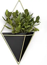 Umbra Trigg Hanging Planter Vase Wall Decor, Pot and Container for Succulents, Cactus, Faux Plants, and More, Large, Black/Brass