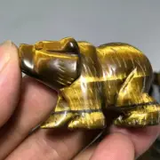 Natural Tiger's Eye Jasper Quartz Carved Polar Bear Crystal Skull Animal Healing