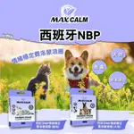 免睏【西班牙NBP 情緒費洛蒙頸圈 犬用】項圈 頸圈 狗用 天然 無毒性 全齡