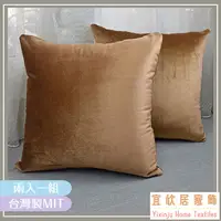 在飛比找PChome24h購物優惠-天絲絨(咖)-客廳沙發絨布抱枕50*50cm*2入/靠枕/腰