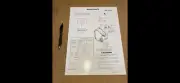 Nintendo Mario Bros. Upright TMA1-UP Back Door Sheet Arcade