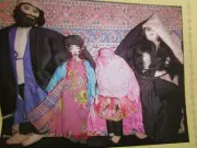 8pg Persian Doll History Article / Carol Noel
