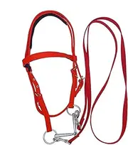 Horse Bridle | Soft Lined Horse Browband | Adjustable Equestrian Riding Reins for Adults, Equine Snaffle Noseband