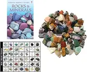 Bulk 4-Pound Rock Rough from Brazil, Madagascar and India, Stone Mix with Identification Card and Book - Great for Sorting, Tumbling, gem Mining, polishing and More!