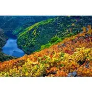 Save 10.00%! Discovering the Beauty of Ribeira Sacra: A Private Tour