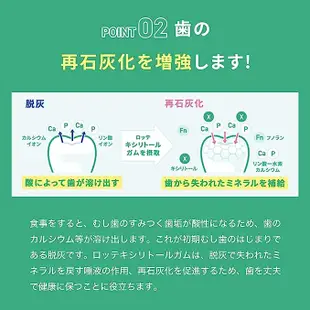 日本直送 LOTTE 樂天 木糖醇口香糖 XYLITOL 口香糖 罐裝口香糖 七彩綜合水果 萊姆薄荷 葡萄薄荷