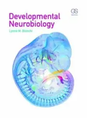 Developmental Neurobiology by Lynne Bianchi: New