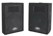 Peavey PVI 10 Speaker - Pair